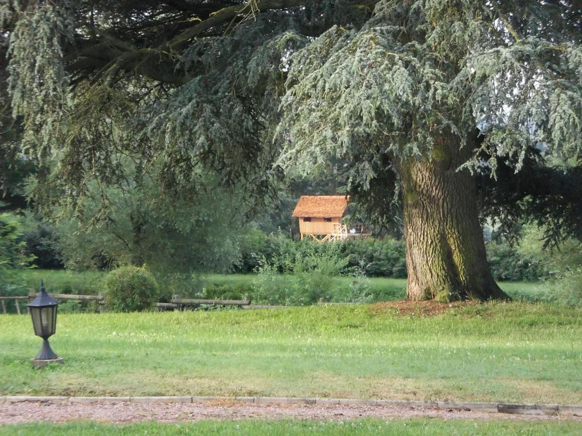 Domaine Des Grands Cedres Bed and Breakfast Cordelle Værelse billede
